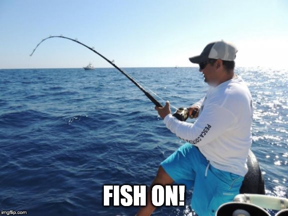 fishing  | FISH ON! | image tagged in fishing | made w/ Imgflip meme maker