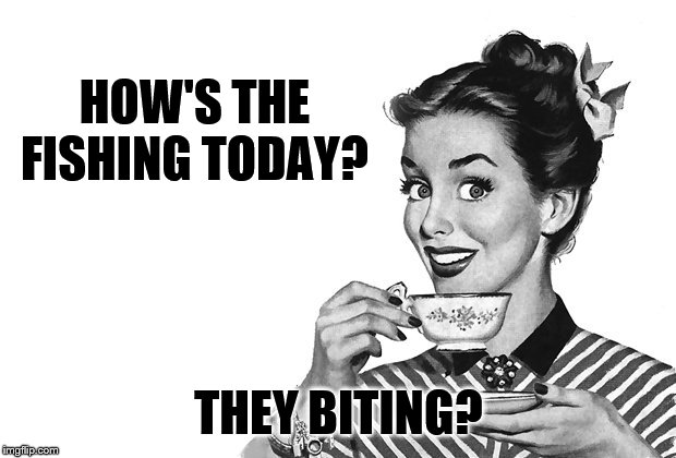 1950s Housewife | HOW'S THE FISHING TODAY? THEY BITING? | image tagged in 1950s housewife | made w/ Imgflip meme maker