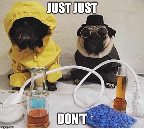 Pugs | JUST JUST; DON'T | image tagged in pugs | made w/ Imgflip meme maker