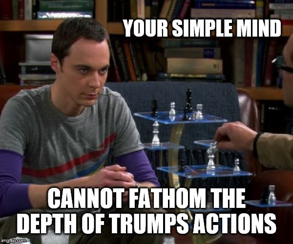3D Chess & Chill | YOUR SIMPLE MIND CANNOT FATHOM THE DEPTH OF TRUMPS ACTIONS | image tagged in 3d chess  chill | made w/ Imgflip meme maker