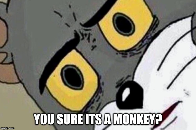 YOU SURE ITS A MONKEY? | made w/ Imgflip meme maker