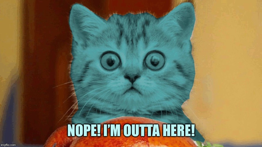 RayCat surprised | NOPE! I’M OUTTA HERE! | image tagged in raycat surprised | made w/ Imgflip meme maker