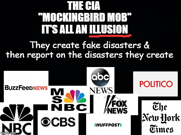 Black background | THE CIA 
"MOCKINGBIRD MOB"
IT'S ALL AN ILLUSION; They create fake disasters & then report on the disasters they create | image tagged in black background | made w/ Imgflip meme maker