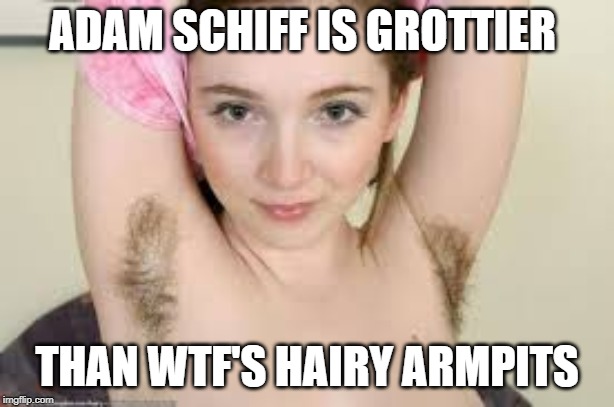 hairy armpits | ADAM SCHIFF IS GROTTIER; THAN WTF'S HAIRY ARMPITS | image tagged in hairy armpits | made w/ Imgflip meme maker