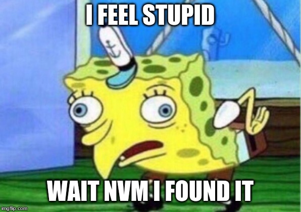 Mocking Spongebob | I FEEL STUPID; WAIT NVM I FOUND IT | image tagged in memes,mocking spongebob | made w/ Imgflip meme maker
