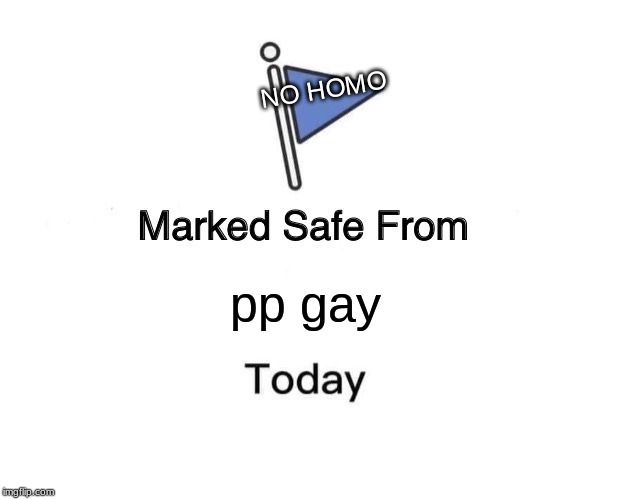 Marked Safe From | NO HOMO; pp gay | image tagged in memes,marked safe from | made w/ Imgflip meme maker