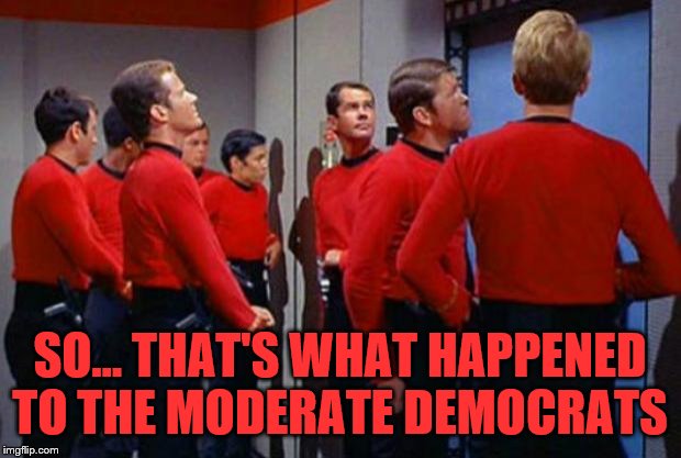 Star Trek Red Shirts | SO... THAT'S WHAT HAPPENED TO THE MODERATE DEMOCRATS | image tagged in star trek red shirts | made w/ Imgflip meme maker