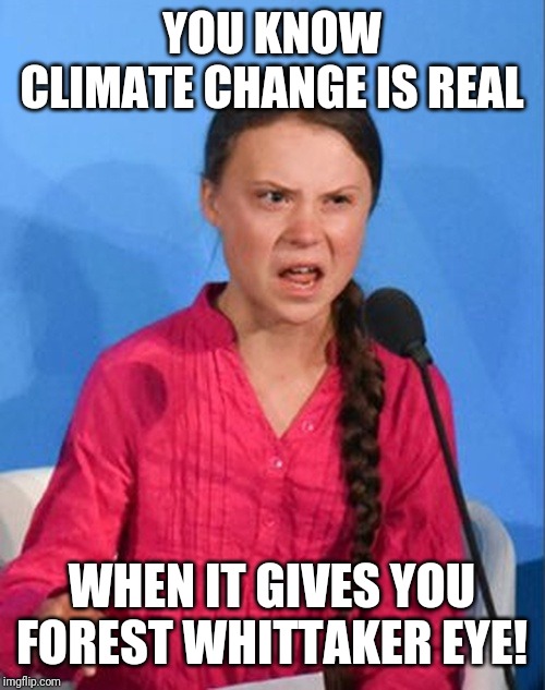 Greta | YOU KNOW CLIMATE CHANGE IS REAL; WHEN IT GIVES YOU FOREST WHITTAKER EYE! | image tagged in greta thunberg how dare you,climate change,forest whitaker | made w/ Imgflip meme maker