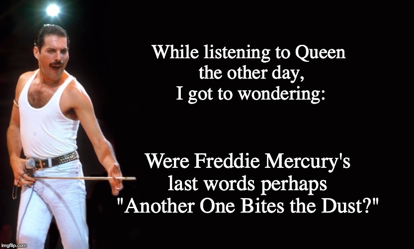 Queen Freddy Mercury | While listening to Queen
 the other day,
 I got to wondering:; Were Freddie Mercury's last words perhaps "Another One Bites the Dust?" | image tagged in queen freddy mercury | made w/ Imgflip meme maker