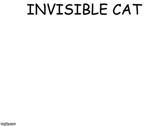 Blank White Template | INVISIBLE CAT | image tagged in blank white template | made w/ Imgflip meme maker