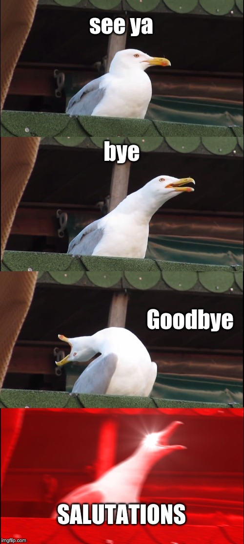 Vocab Upgrade | see ya; bye; Goodbye; SALUTATIONS | image tagged in memes,inhaling seagull,vocabulary | made w/ Imgflip meme maker