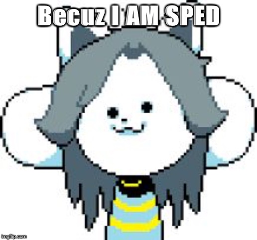 TEMMIE | Becuz I AM SPED | image tagged in temmie | made w/ Imgflip meme maker