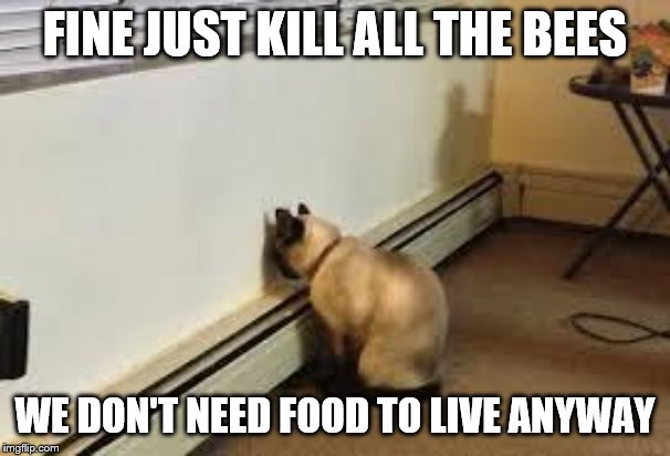 Give up cat | FINE JUST KILL ALL THE BEES; WE DON'T NEED FOOD TO LIVE ANYWAY | image tagged in give up cat | made w/ Imgflip meme maker