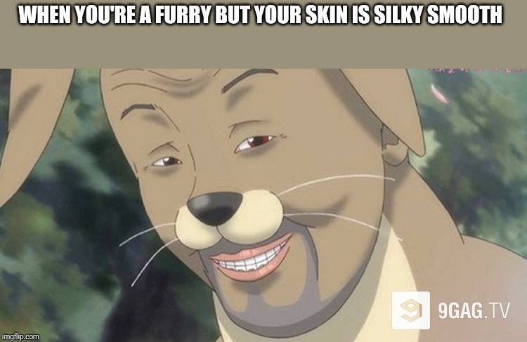 Weird anime hentai furry | WHEN YOU'RE A FURRY BUT YOUR SKIN IS SILKY SMOOTH | image tagged in weird anime hentai furry | made w/ Imgflip meme maker