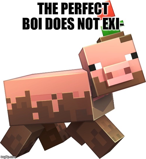 Perfect boi | THE PERFECT BOI DOES NOT EXI- | image tagged in minecraft,piglet,good memes | made w/ Imgflip meme maker