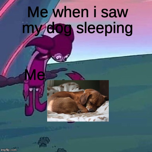 Spinel looking over herself | Me when i saw my dog sleeping; Me | image tagged in spinel looking over herself | made w/ Imgflip meme maker