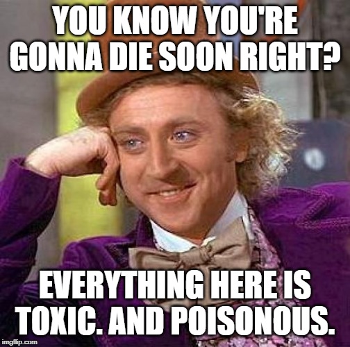 Creepy Condescending Wonka | YOU KNOW YOU'RE GONNA DIE SOON RIGHT? EVERYTHING HERE IS TOXIC. AND POISONOUS. | image tagged in memes,creepy condescending wonka | made w/ Imgflip meme maker