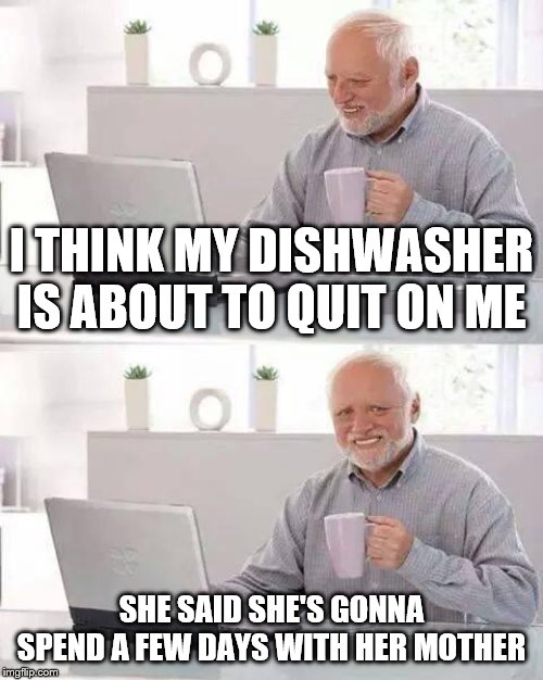 Hide the Pain Harold Meme | I THINK MY DISHWASHER IS ABOUT TO QUIT ON ME; SHE SAID SHE'S GONNA SPEND A FEW DAYS WITH HER MOTHER | image tagged in memes,hide the pain harold,dishwasher,marriage | made w/ Imgflip meme maker