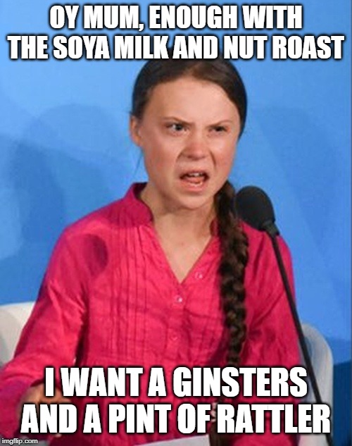 Greta Thunberg how dare you | OY MUM, ENOUGH WITH THE SOYA MILK AND NUT ROAST; I WANT A GINSTERS AND A PINT OF RATTLER | image tagged in greta thunberg how dare you | made w/ Imgflip meme maker