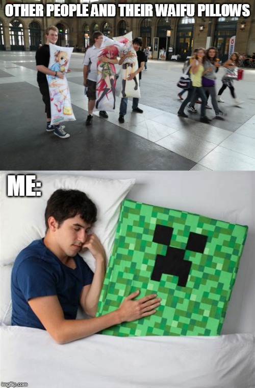Anime Week September 29 To October 5 A Dankmaster546 And 1forpeace Event | OTHER PEOPLE AND THEIR WAIFU PILLOWS; ME: | image tagged in creeper,minecraft,anime week,waifu | made w/ Imgflip meme maker