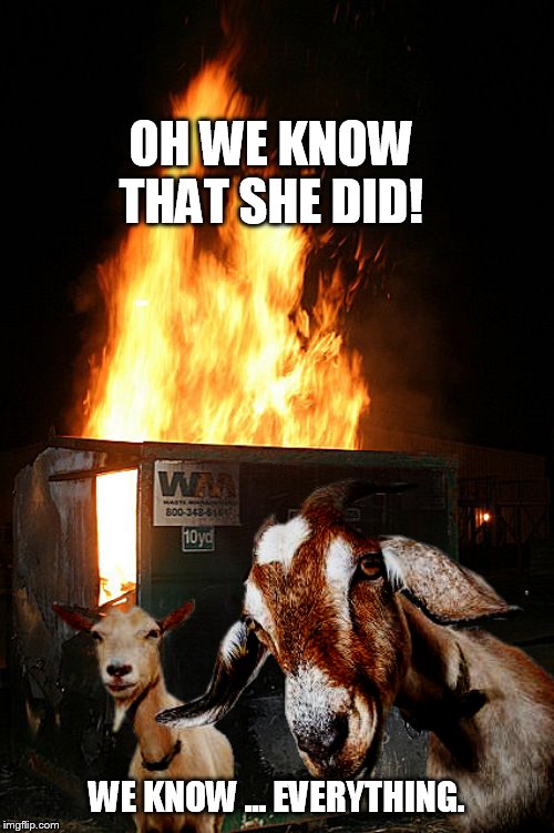 Dumpster Fire Goats | OH WE KNOW THAT SHE DID! WE KNOW ... EVERYTHING. | image tagged in dumpster fire goats | made w/ Imgflip meme maker