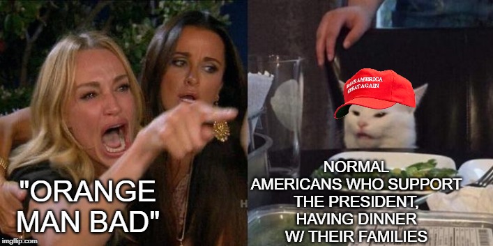 Woman Screaming at Cat | NORMAL AMERICANS WHO SUPPORT THE PRESIDENT, HAVING DINNER W/ THEIR FAMILIES; "ORANGE MAN BAD" | image tagged in woman screaming at cat | made w/ Imgflip meme maker