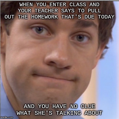 jim halpert face | WHEN YOU ENTER CLASS AND YOUR TEACHER SAYS TO PULL OUT THE HOMEWORK THAT'S DUE TODAY; AND YOU HAVE NO CLUE WHAT SHE'S TALKING ABOUT | image tagged in jim halpert face | made w/ Imgflip meme maker
