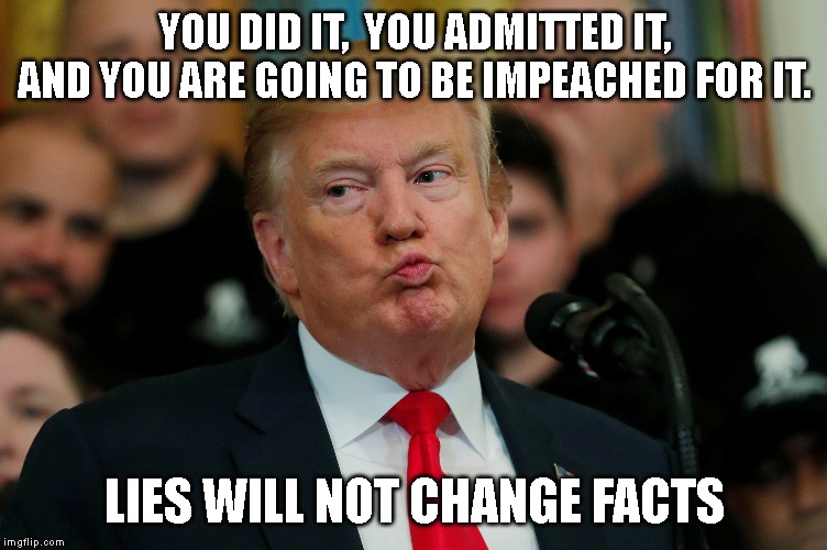 Trump Publicly Admitted His Crime and Gave Documented Proof | YOU DID IT,  YOU ADMITTED IT, AND YOU ARE GOING TO BE IMPEACHED FOR IT. LIES WILL NOT CHANGE FACTS | image tagged in impeach trump,impeach,impeachment,trump impeachment,donald trump is an idiot | made w/ Imgflip meme maker