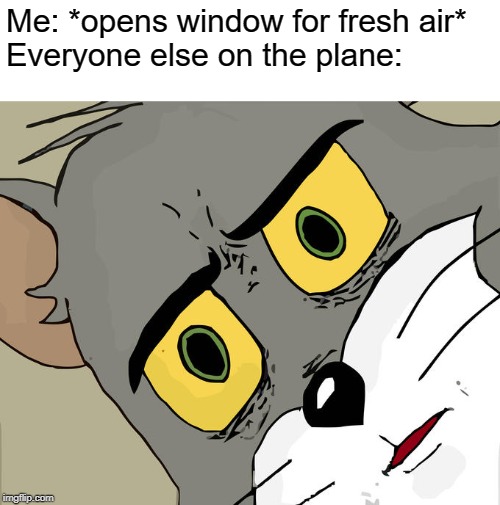 cold low pressure air in the plane now. | Me: *opens window for fresh air*
Everyone else on the plane: | image tagged in memes,unsettled tom | made w/ Imgflip meme maker