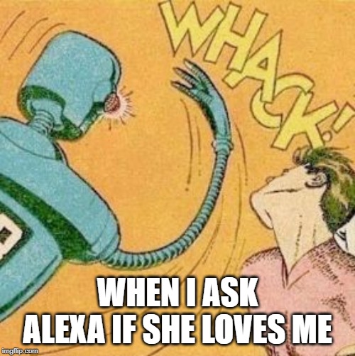 Robot slaps human | WHEN I ASK ALEXA IF SHE LOVES ME | image tagged in robot slaps human | made w/ Imgflip meme maker