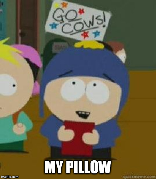 Craig Would Be So Happy | MY PILLOW | image tagged in craig would be so happy | made w/ Imgflip meme maker