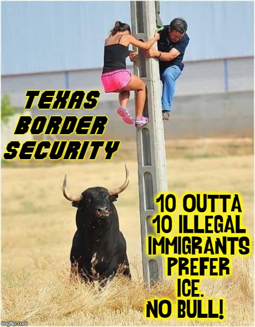 Save Lives |:| Build the Wall | TEXAS BORDER SECURITY; 10 OUTTA 10 ILLEGAL IMMIGRANTS PREFER ICE.    NO BULL! | image tagged in vince vance,build the wall,illegal immigrants,bull,ice,secure the border | made w/ Imgflip meme maker
