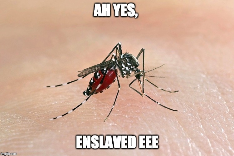 eee | AH YES, ENSLAVED EEE | image tagged in mosquitoes | made w/ Imgflip meme maker