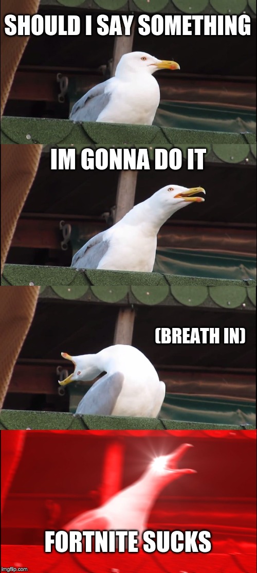 Inhaling Seagull Meme | SHOULD I SAY SOMETHING; IM GONNA DO IT; (BREATH IN); FORTNITE SUCKS | image tagged in memes,inhaling seagull | made w/ Imgflip meme maker