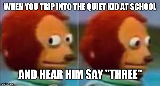 monkey | WHEN YOU TRIP INTO THE QUIET KID AT SCHOOL; AND HEAR HIM SAY "THREE" | image tagged in monkey | made w/ Imgflip meme maker