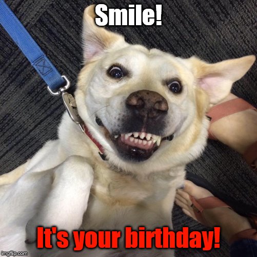 Smile! It's your birthday! | image tagged in happy birthday,smile,dogs,teeth | made w/ Imgflip meme maker