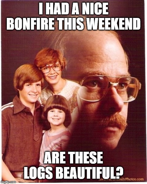 Let Em Burn | I HAD A NICE BONFIRE THIS WEEKEND; ARE THESE LOGS BEAUTIFUL? | image tagged in memes,vengeance dad | made w/ Imgflip meme maker