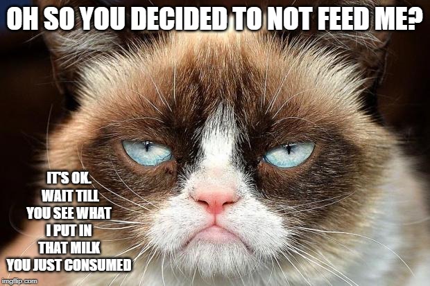 Grumpy Cat Not Amused | OH SO YOU DECIDED TO NOT FEED ME? IT'S OK.  WAIT TILL YOU SEE WHAT I PUT IN THAT MILK YOU JUST CONSUMED | image tagged in memes,grumpy cat not amused,grumpy cat | made w/ Imgflip meme maker