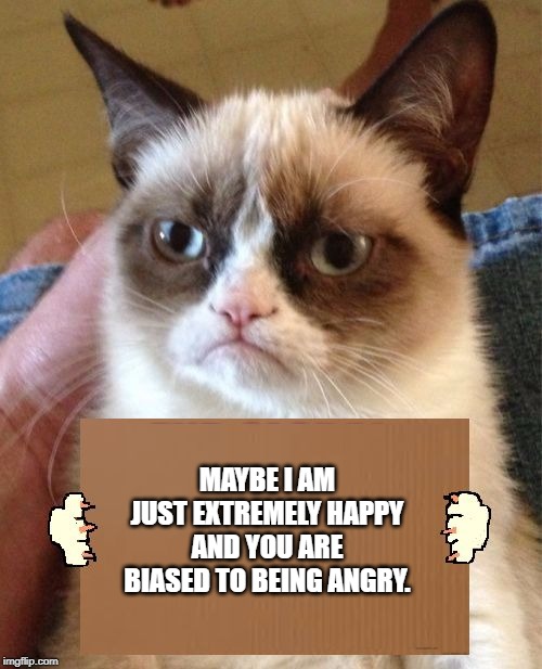 Grumpy Cat Cardboard Sign | MAYBE I AM JUST EXTREMELY HAPPY AND YOU ARE BIASED TO BEING ANGRY. | image tagged in grumpy cat cardboard sign | made w/ Imgflip meme maker