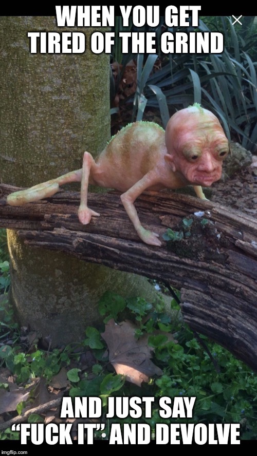 WHEN YOU GET TIRED OF THE GRIND; AND JUST SAY “FUCK IT” AND DEVOLVE | made w/ Imgflip meme maker