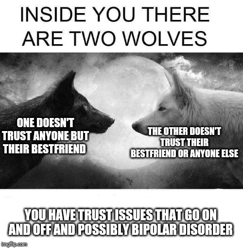 Inside you there are two wolves | THE OTHER DOESN'T TRUST THEIR BESTFRIEND OR ANYONE ELSE; ONE DOESN'T TRUST ANYONE BUT THEIR BESTFRIEND; YOU HAVE TRUST ISSUES THAT GO ON AND OFF AND POSSIBLY BIPOLAR DISORDER | image tagged in inside you there are two wolves | made w/ Imgflip meme maker