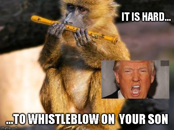 Bad Monkey | IT IS HARD... ...TO WHISTLEBLOW ON  YOUR SON | image tagged in impeach trump,babboon,orange trump | made w/ Imgflip meme maker