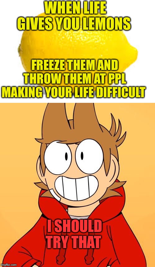 WHEN LIFE GIVES YOU LEMONS; FREEZE THEM AND THROW THEM AT PPL MAKING YOUR LIFE DIFFICULT; I SHOULD TRY THAT | image tagged in when life gives you lemons x | made w/ Imgflip meme maker