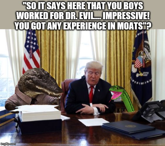 Border Patrol | "SO IT SAYS HERE THAT YOU BOYS WORKED FOR DR. EVIL.... IMPRESSIVE! YOU GOT ANY EXPERIENCE IN MOATS"? | image tagged in secure the border,donald trump,trump is a moron,impeach trump | made w/ Imgflip meme maker