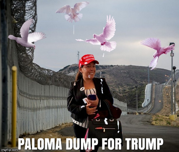image tagged in dove,shit,trump supporter,crap,dump trump,border wall | made w/ Imgflip meme maker