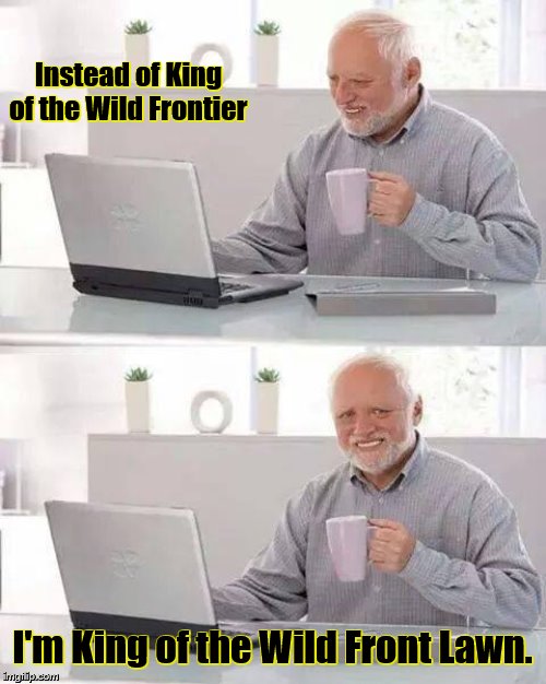 Hide the Pain Harold Meme | Instead of King of the Wild Frontier I'm King of the Wild Front Lawn. | image tagged in memes,hide the pain harold | made w/ Imgflip meme maker