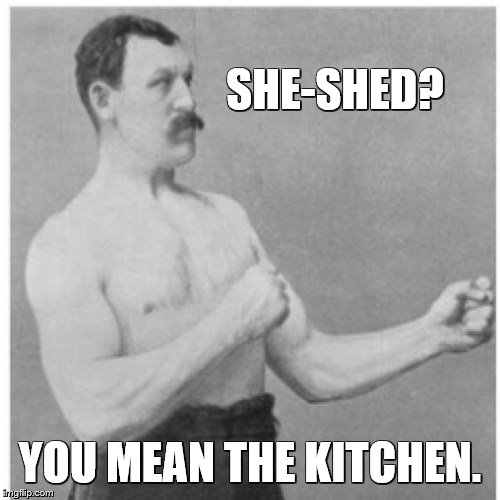 Overly Manly Man Meme | SHE-SHED? YOU MEAN THE KITCHEN. | image tagged in memes,overly manly man,kitchen,state farm,insurance,commercials | made w/ Imgflip meme maker