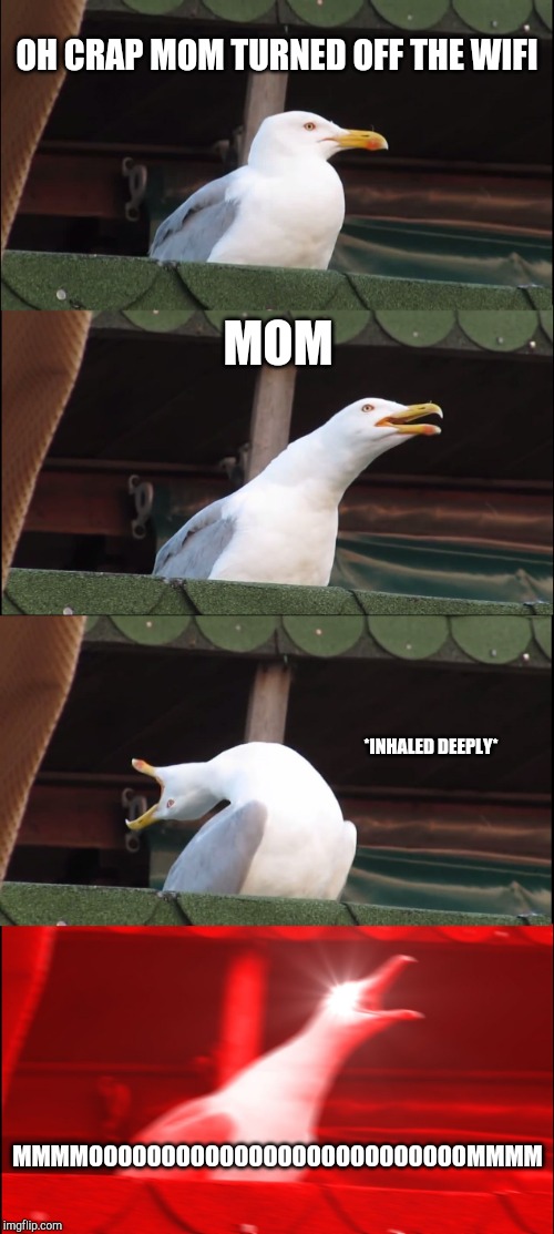Inhaling Seagull Meme | OH CRAP MOM TURNED OFF THE WIFI; MOM; *INHALED DEEPLY*; MMMMOOOOOOOOOOOOOOOOOOOOOOOOOOMMMM | image tagged in memes,inhaling seagull | made w/ Imgflip meme maker