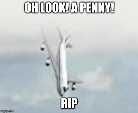 Why planes nosedive | OH LOOK! A PENNY! RIP | image tagged in aviation | made w/ Imgflip meme maker