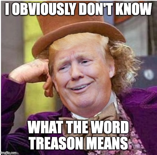 Wonka Trump | I OBVIOUSLY DON'T KNOW; WHAT THE WORD TREASON MEANS | image tagged in wonka trump | made w/ Imgflip meme maker